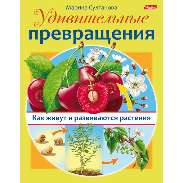Книжка 8л А5ф цветной блок на скобе Удивительные превращения-Как живут и развиваются растения- , 
